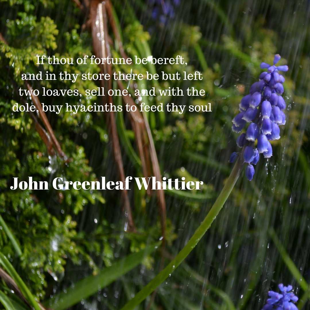 If thou of fortune be bereft, and in thy store there be but lefttwo loaves, sell one, and with thedole, buy hyacinths to feed thy soul3